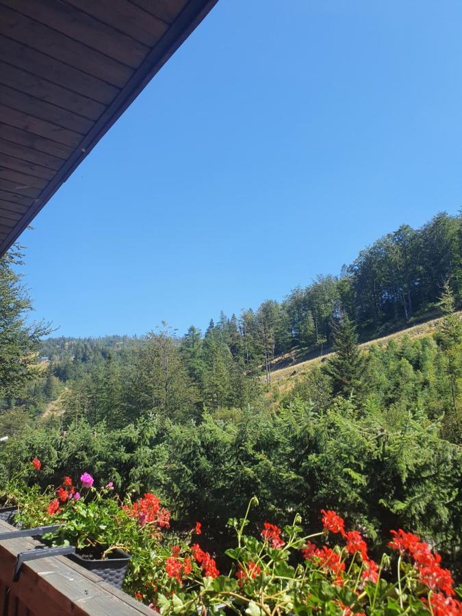 Willa Kora Szczyrk Esterno foto
